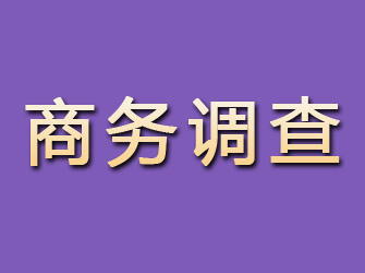 松桃商务调查